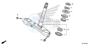 CBR600RRD CBR600RR UK - (E) drawing STEERING STEM