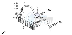 TRX350FM FOURTRAX 350 4X4 drawing OIL COOLER