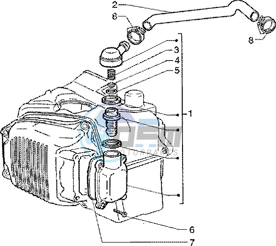 Oil drain valve