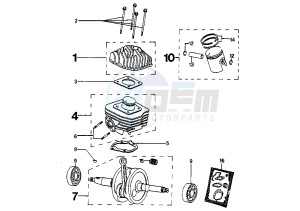 SQUAB - 50 cc drawing CYLINDER HEAD