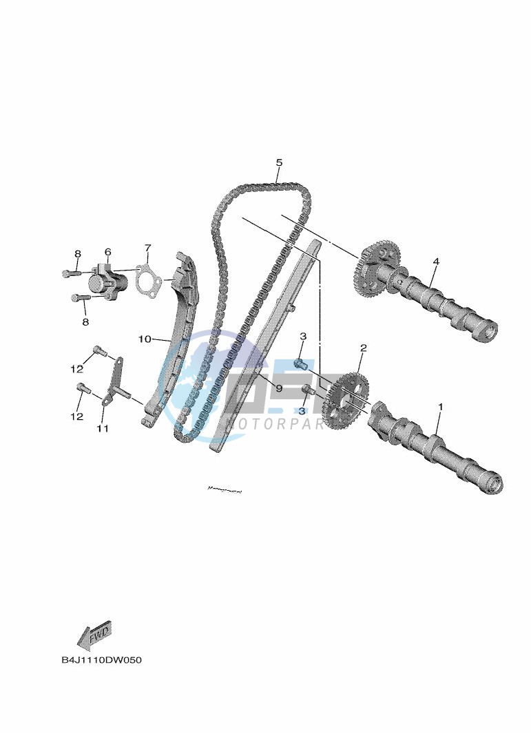 CAMSHAFT & CHAIN