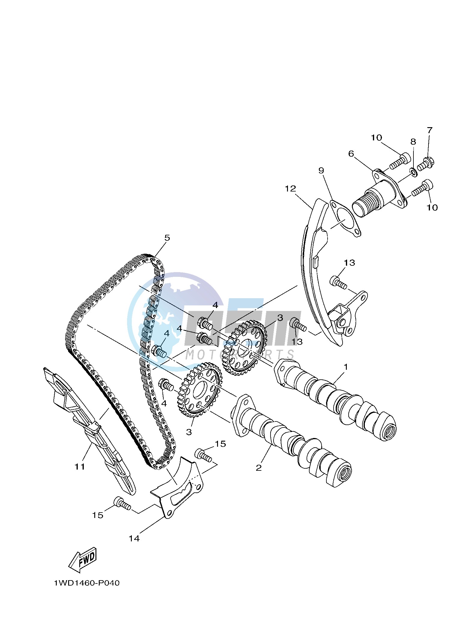 CAMSHAFT & CHAIN