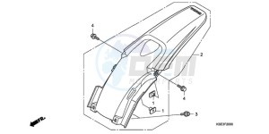 CRF150RB9 Australia - (U) drawing REAR FENDER