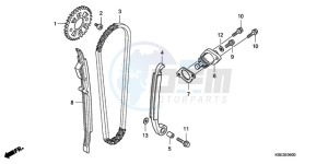 CRF150RB9 Australia - (U) drawing CAM CHAIN/TENSIONER