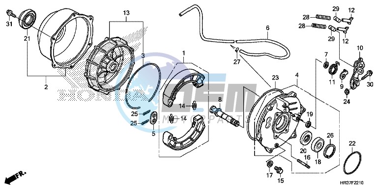 REAR BRAKE PANEL