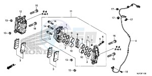 CRF1000G CRF1000 - Africa Twin Europe Direct - (ED) drawing FRONT BRAKE CALIPER