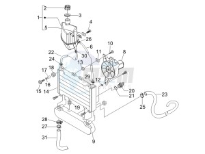 Beverly 250 (USA) USA drawing Cooling system