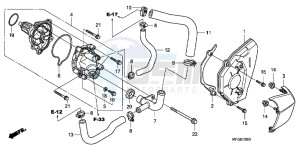 CB600FAC drawing WATER PUMP