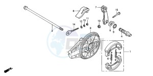 CRF80F 100 drawing REAR BRAKE PANEL