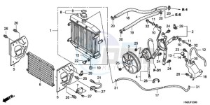 TRX500FAA Europe Direct - (ED) drawing RADIATOR