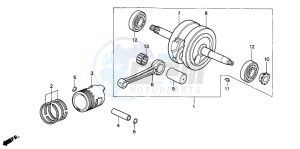 C50S drawing CRANKSHAFT/PISTON