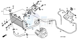 XL125VB drawing RADIATOR