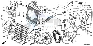 TRX500FE2H Europe Direct - (ED) drawing RADIATOR