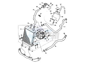XQ MAXSTER 150 drawing RADIATOR-HOSE