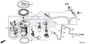 TRX500FM5H Europe Direct - (ED) drawing FUEL PUMP