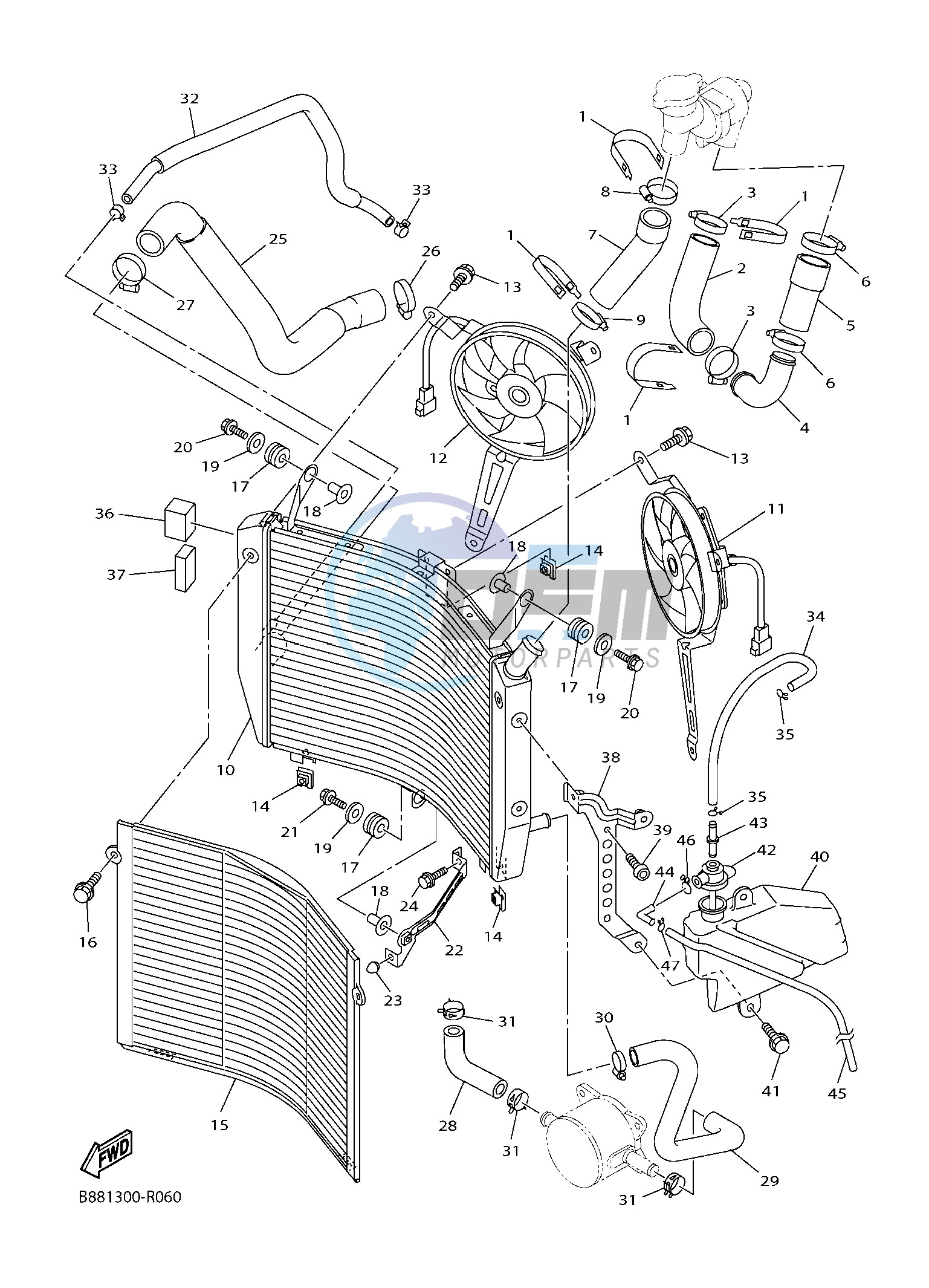 RADIATOR & HOSE