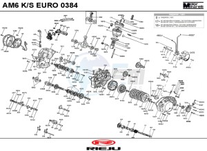 TANGO-50-MOTARD-WHITE drawing ENGINE