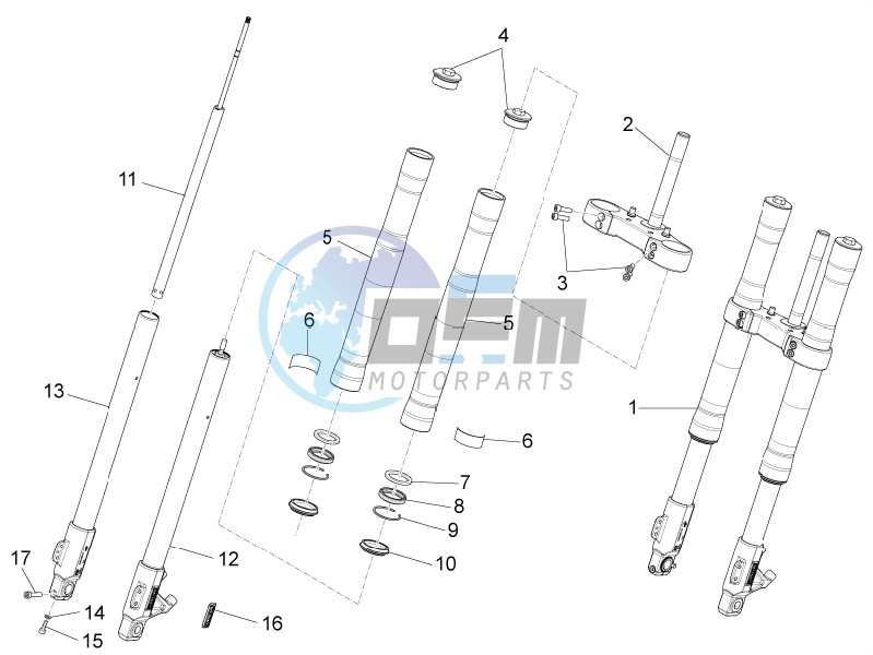 Front fork Paioli