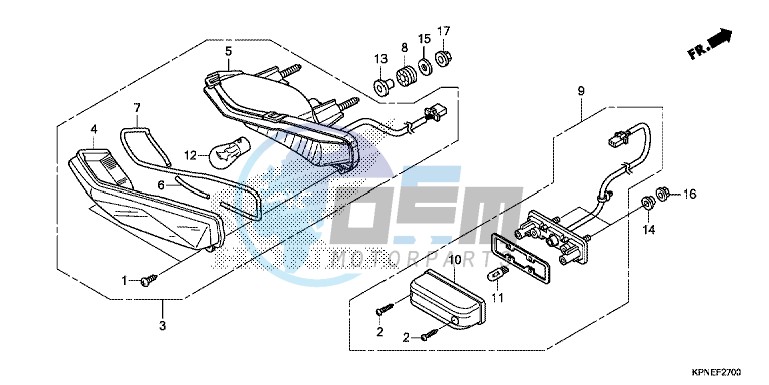 TAILLIGHT/LICENSE LIGHT