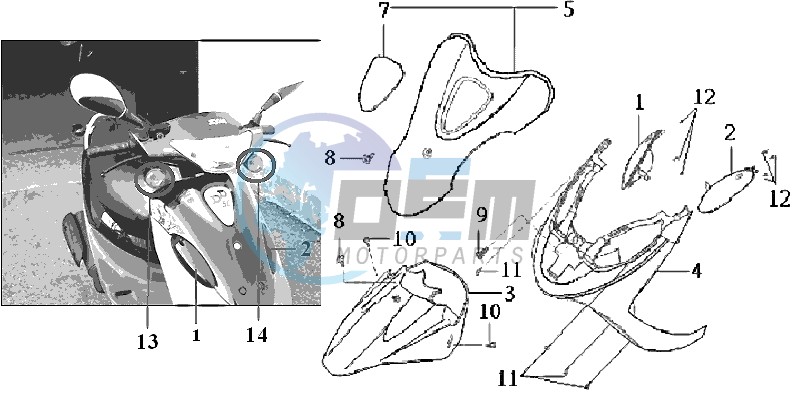 FR PLATE / FRONT FENDER