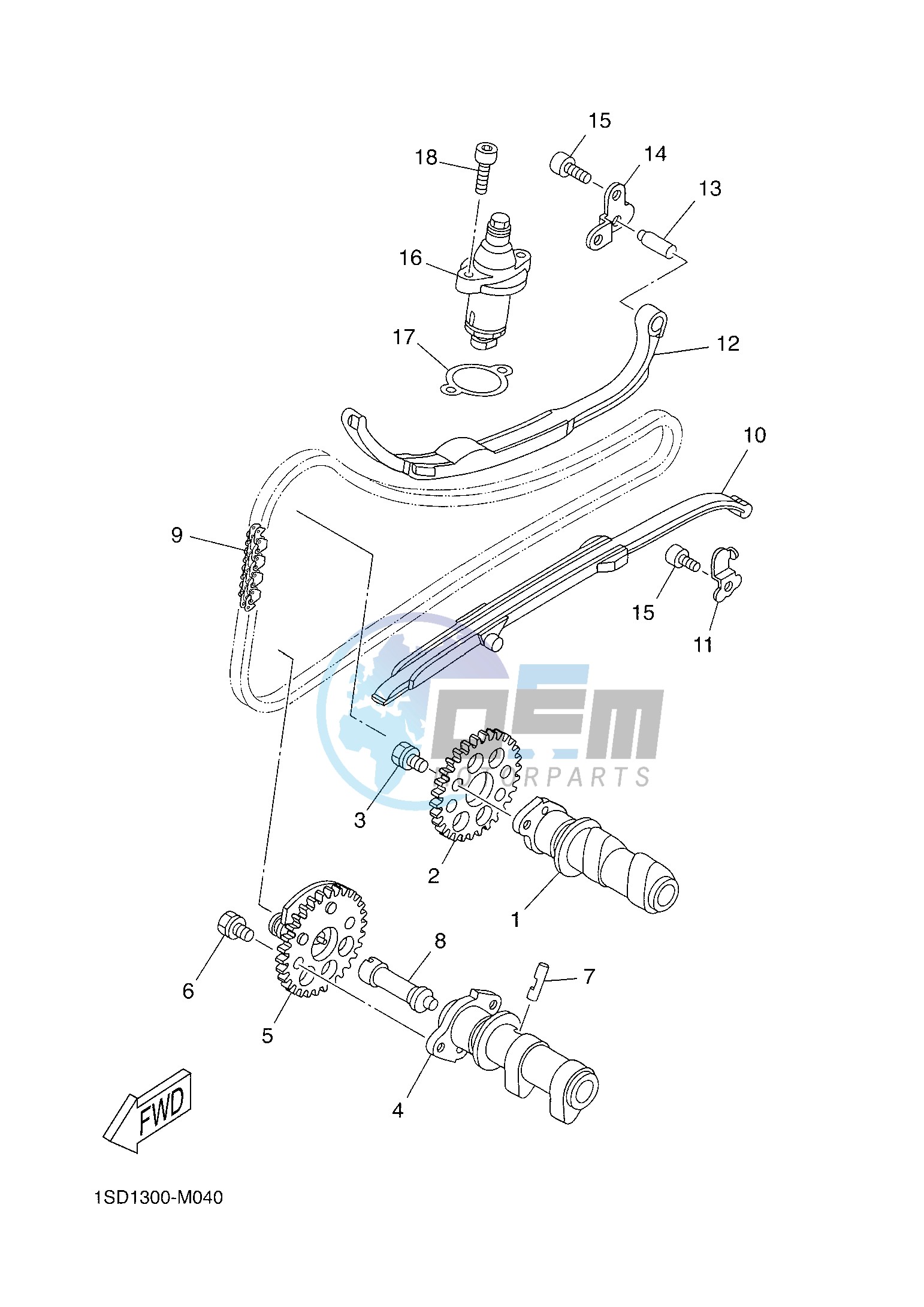 CAMSHAFT & CHAIN