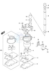 DF 250 drawing Water Pump SS Model