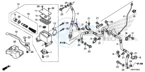 TRX500FM1H TRX500 ED drawing FRONT BRAKE MASTER CYLINDER