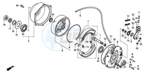 TRX300FW FOURTRAX 300 4X4 drawing REAR BRAKE PANEL