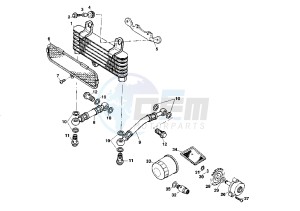 RAPTOR 1000 drawing FILTERS-OIL PUMP