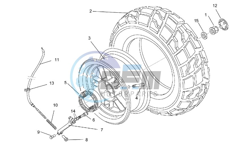 Rear wheel - drum brake