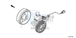 TRX420FPED TRX420 Europe Direct - (ED) drawing GENERATOR