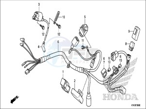 CRF110FH Europe Direct - (ED) drawing WIRE HARNESS