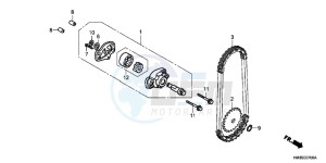 TRX250TEC drawing OIL PUMP