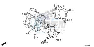 NSS125ADF Forza 125 - NSS125AD UK - (E) drawing CYLINDER