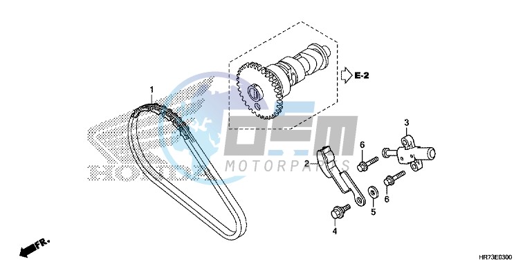 CAM CHAIN/TENSIONER