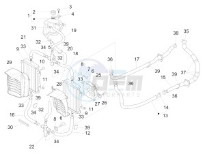 SUPER GTS 300 4T 4V IE ABS E3- E4 (NAFTA) drawing Cooling system