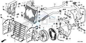 TRX420TM1F TRX420 Europe Direct - (ED) drawing RADIATOR