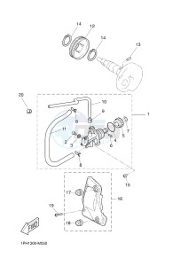 NS50N AEROX NAKED (1PL1 1PL1) drawing OIL PUMP