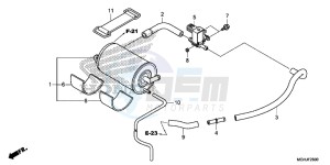 VFR1200X Europe Direct - (ED) drawing CANISTER