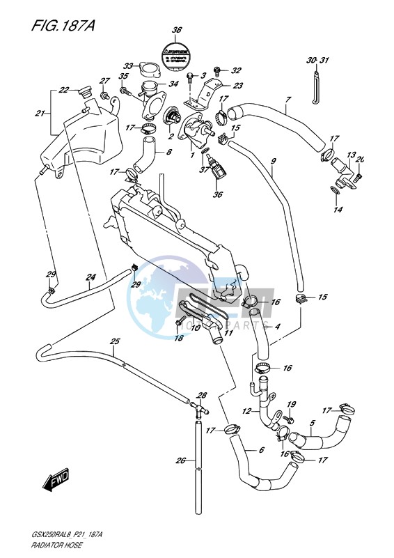 RADIATOR HOSE