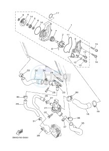 MTN850 MTN-850D MT-09 SP (B6C1) drawing WATER PUMP