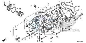 TRX500FA7G TRX500 Europe Direct - (ED) drawing FRONT CRANKCASE COVER