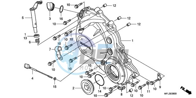 RIGHT CRANKCASE COVER