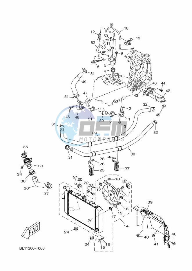 RADIATOR & HOSE