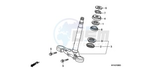 CBF1000SA France - (F / ABS CMF) drawing STEERING STEM