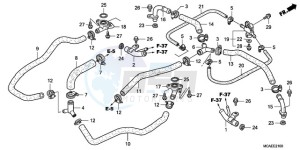 GL18009 Australia - (U) drawing WATER PIPE