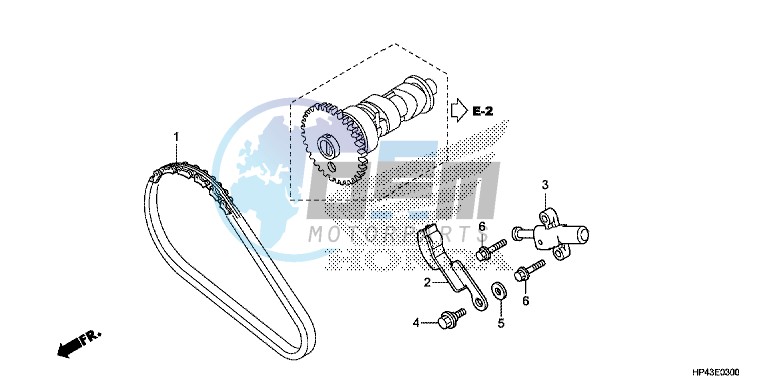 CAM CHAIN/TENSIONER