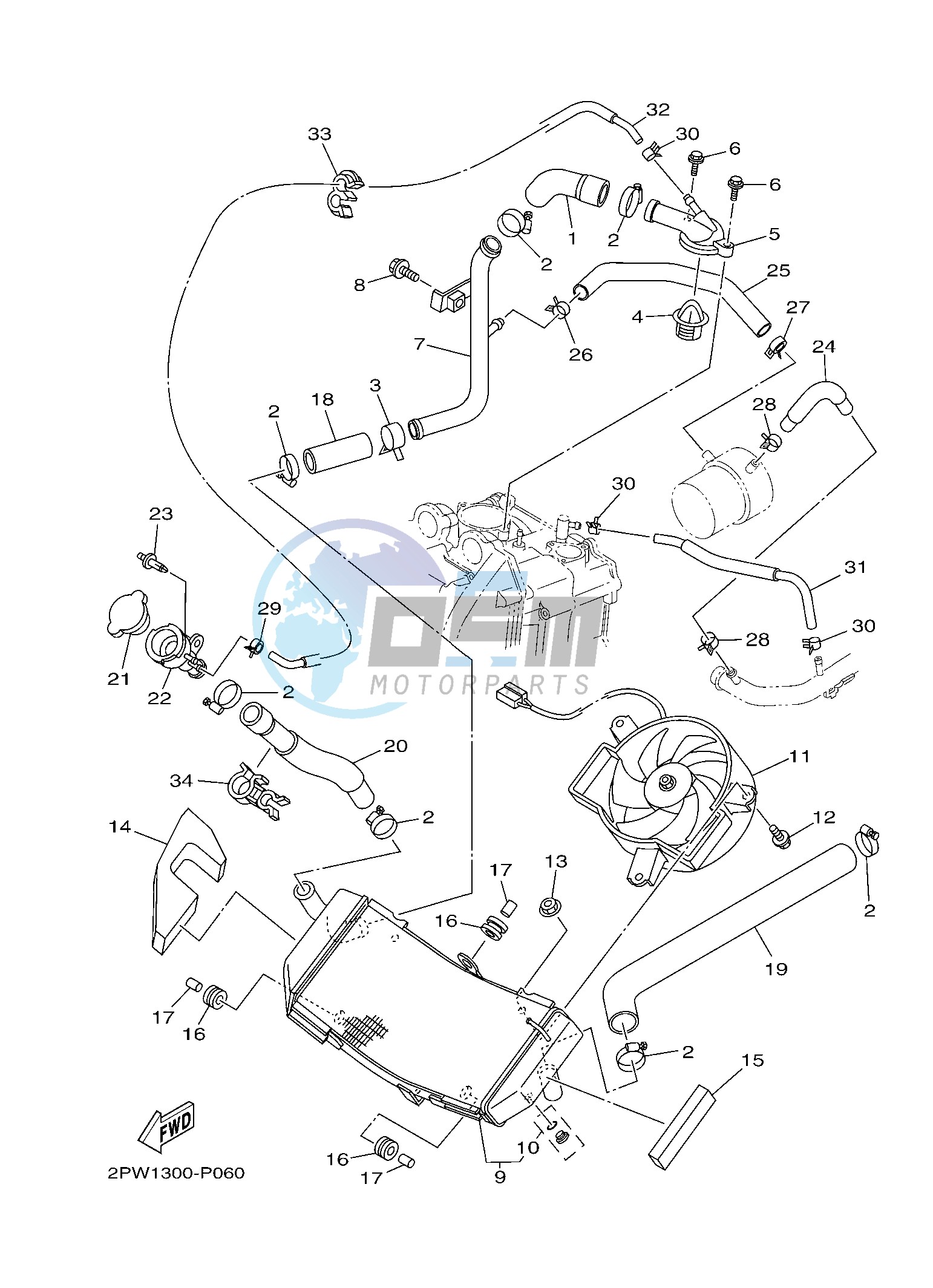 RADIATOR & HOSE