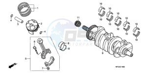 CB600F3A Europe Direct - (ED / ST 25K) drawing CRANKSHAFT/PISTON