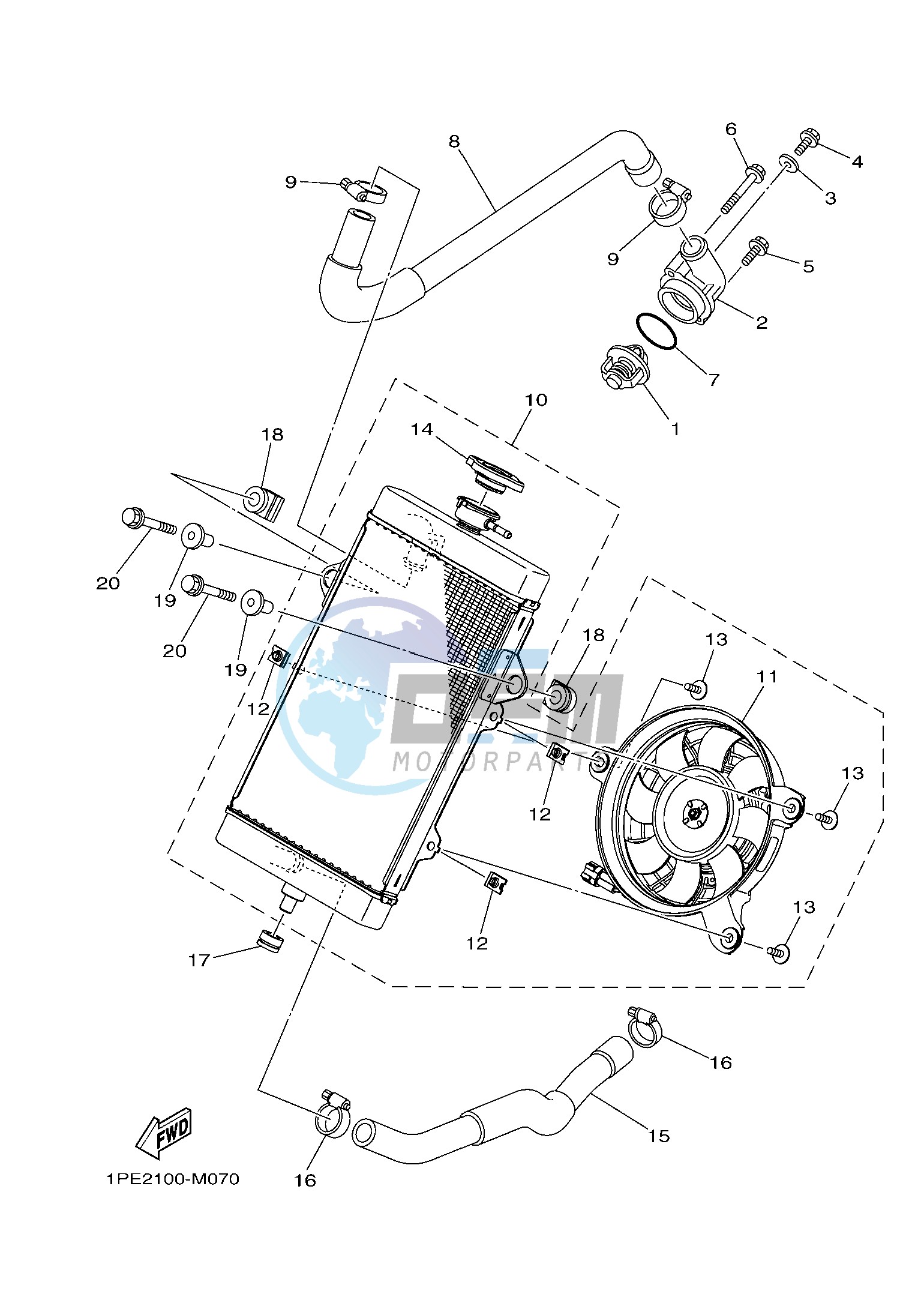 RADIATOR & HOSE